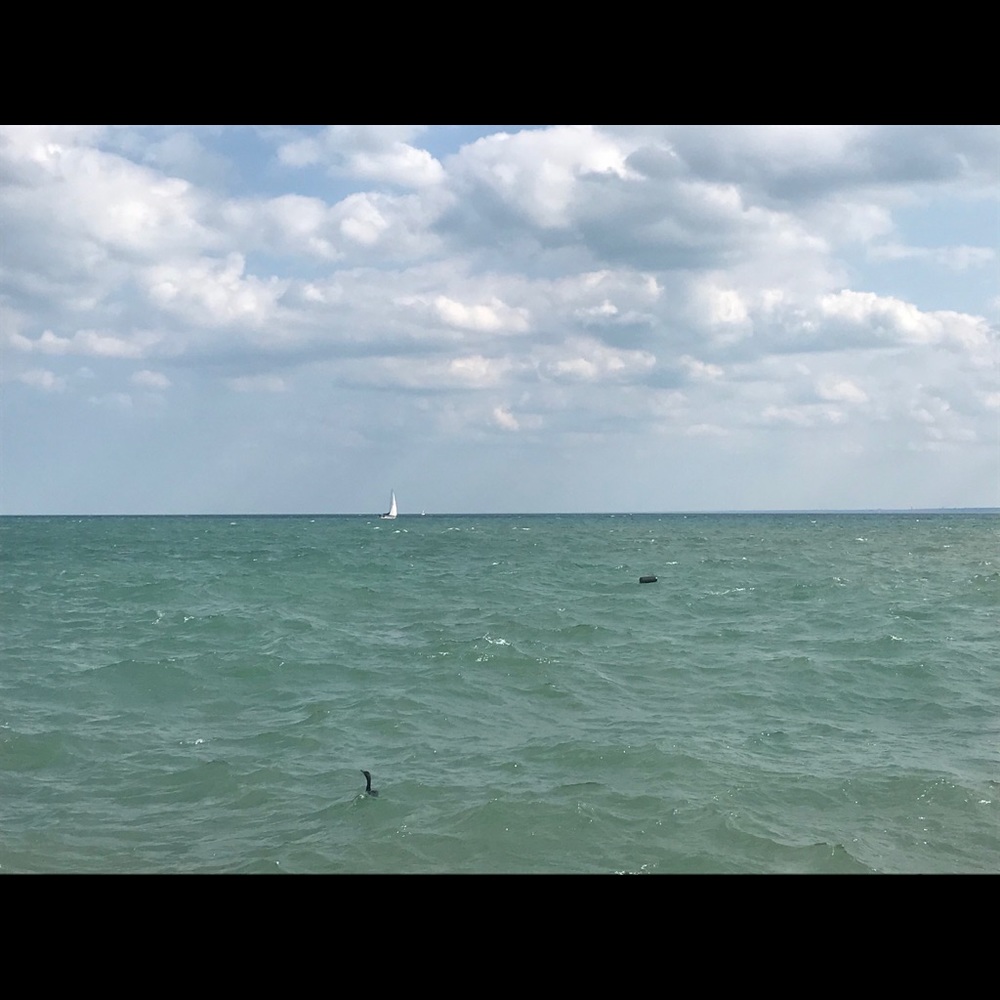 Meet your Posher, Josh